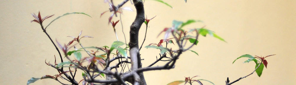 Caring Female Doctor